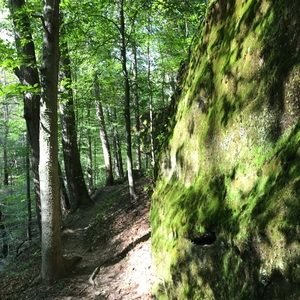 Meet your Posher, Sydney